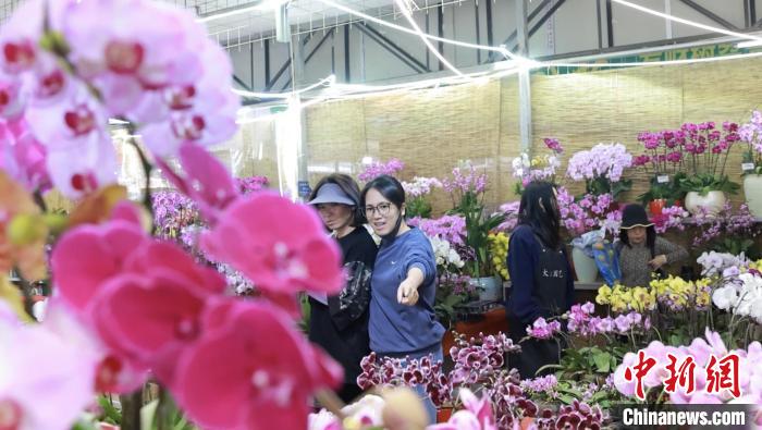 (新春走基层)税惠红利持续释放 广东花卉企业线上线下拓销路